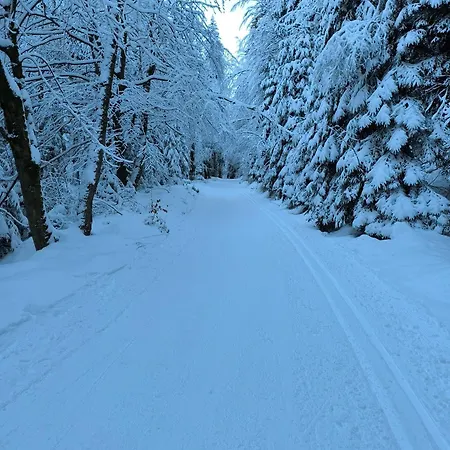 Tiny House Stribrnice * Staré Město