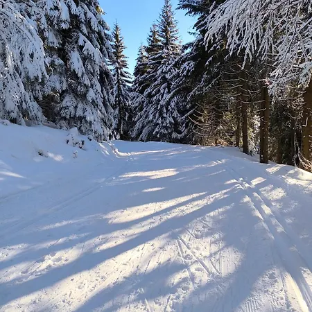 شاليه Tiny House Stribrnice