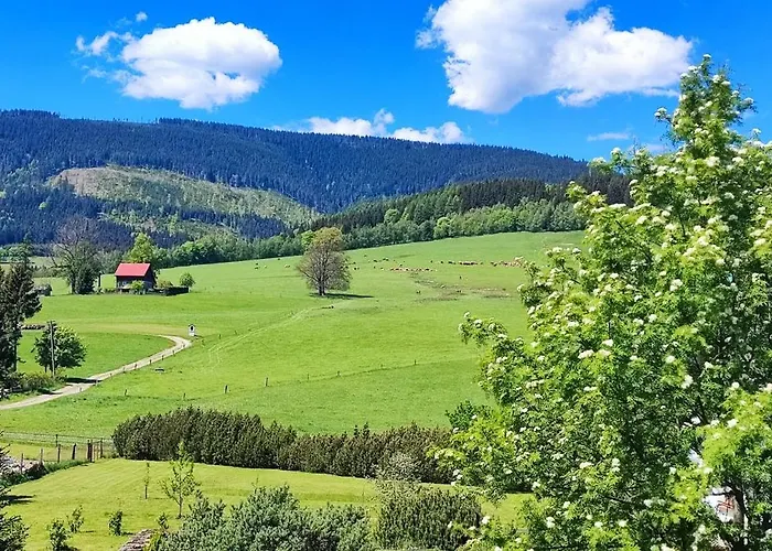 Tiny House Stribrnice * Старе-Место