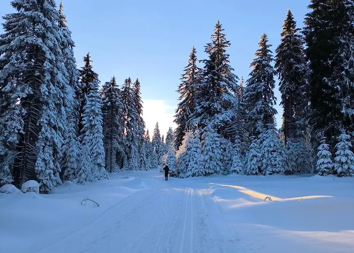Chalet Tiny House Stribrnice *