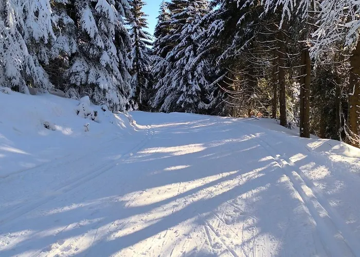 Chalet Tiny House Stribrnice